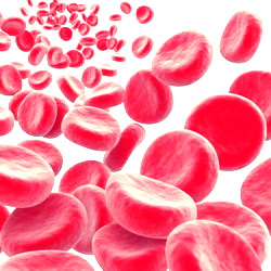 повышен гемоглобин в крови